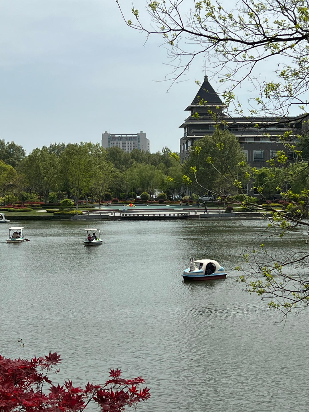 有态度的草莓君