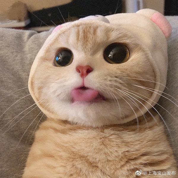 一夜渍，煎鸡肉，深圳美食