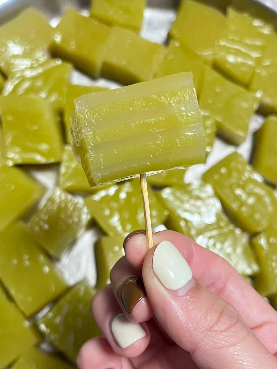 斑斓叶千层糕木薯粉版