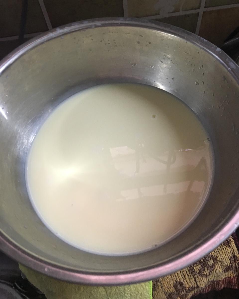 简单易学牛奶鸡蛋布丁