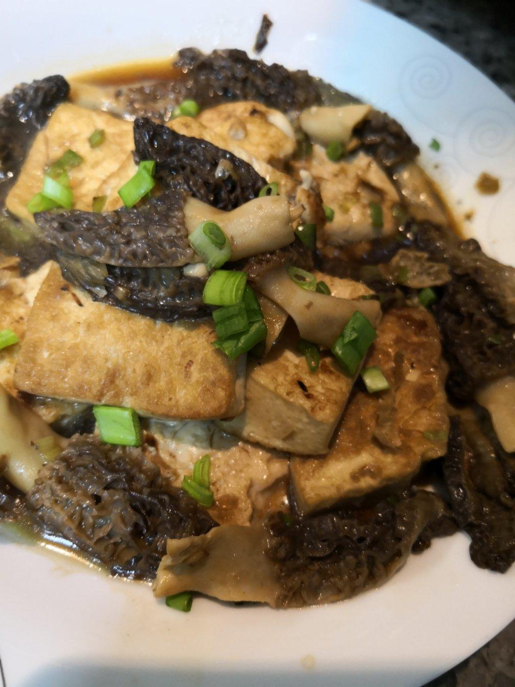 新鲜羊肚菌烧豆腐