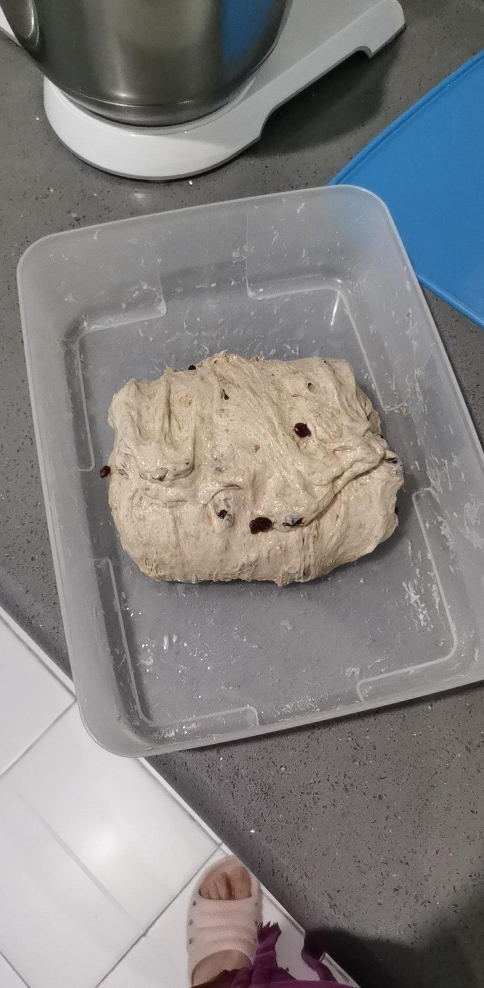 北鼎铸铁锅食谱｜亚麻籽蔓越莓包