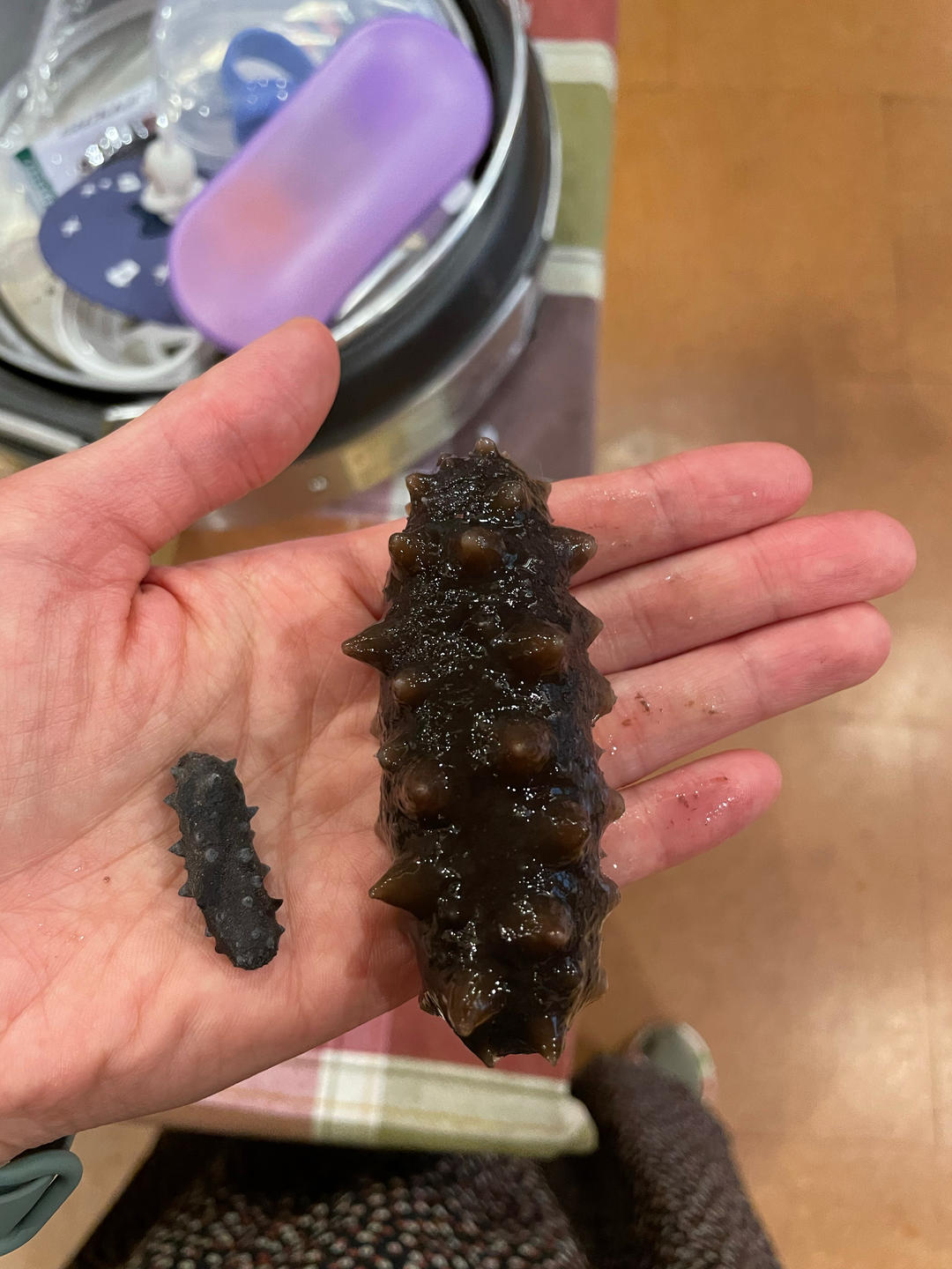 堂妈教你发海参