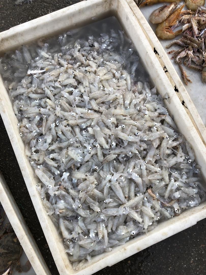 记录我做过的海鲜们