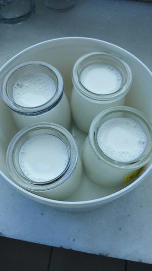 DIY家庭自制酸奶的做法 步骤3