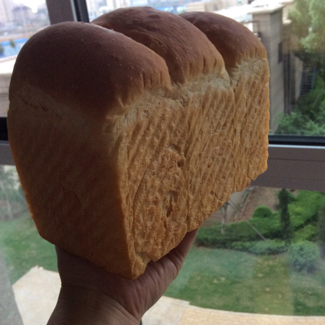 蛋白炼乳吐司~天然酵种(波兰种)