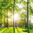 手机用户8942_n9dh