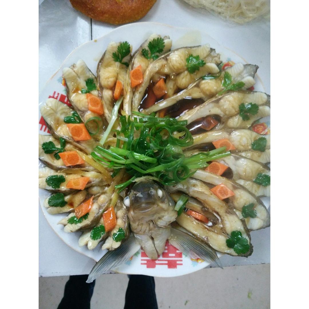 孔雀开屏鱼.