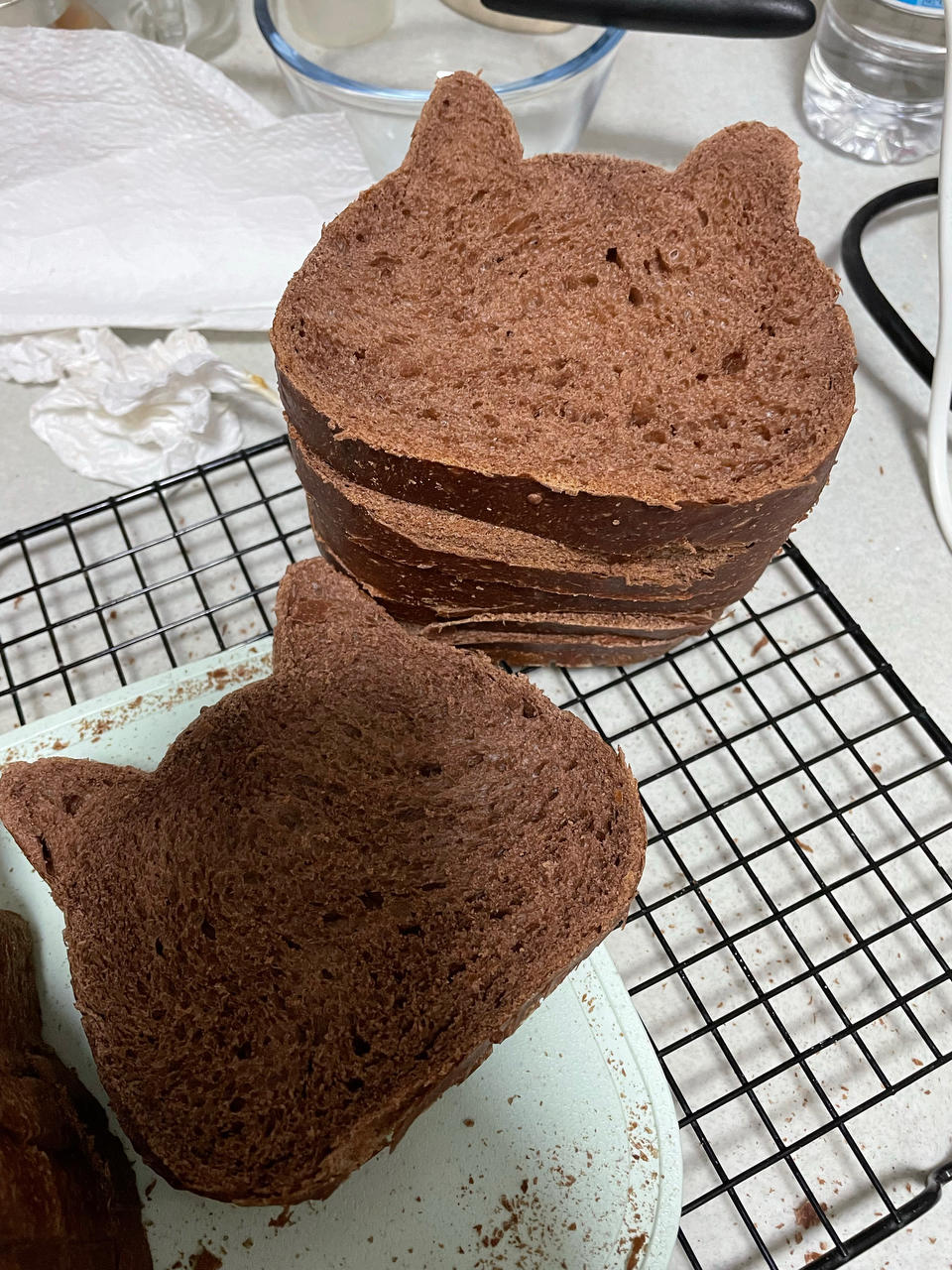 猫头吐司中种法（风和日丽600g)