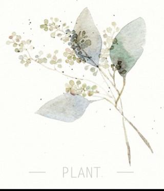 木木的木子木子李