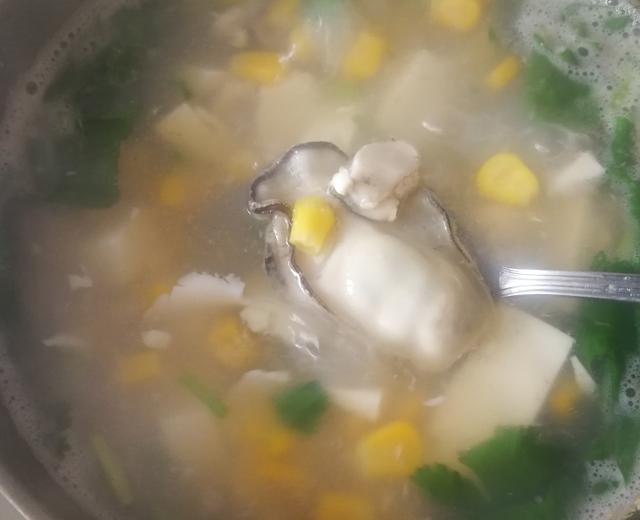 放疗 化疗食谱 牡蛎汤的做法