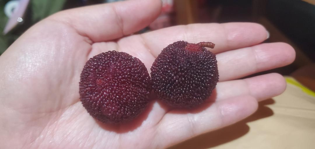 爱尝鲜的蔬果宇宙