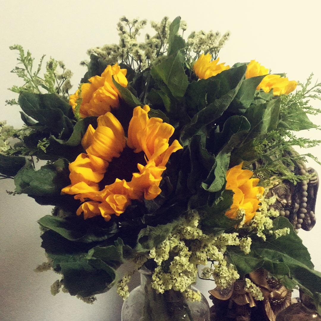 猪宝家的小食堂