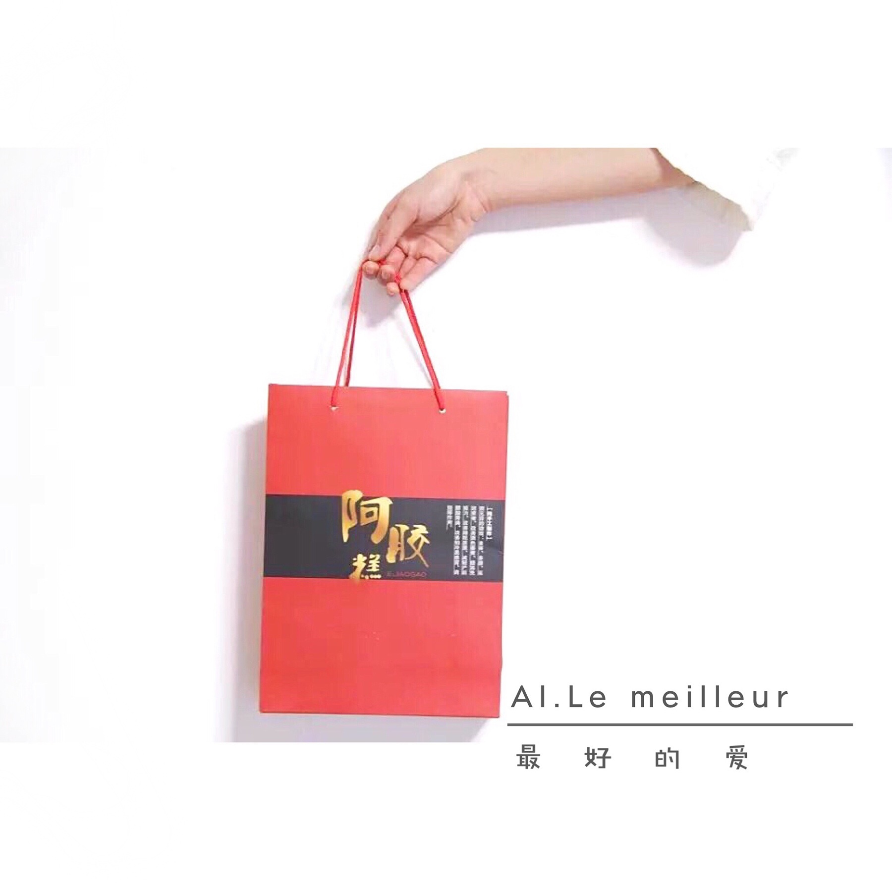 AI.Le meilleur |最好的爱