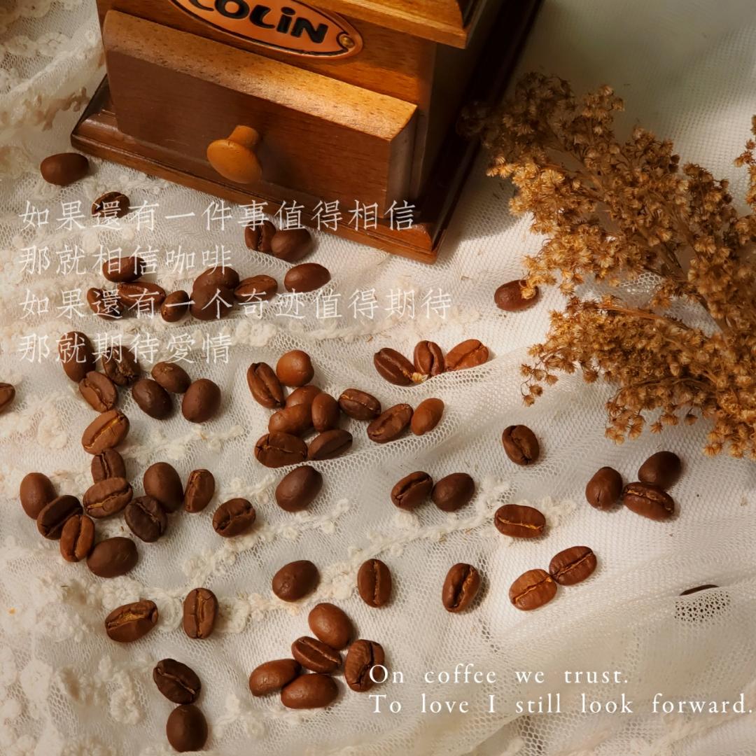 吃货蜕变集中营