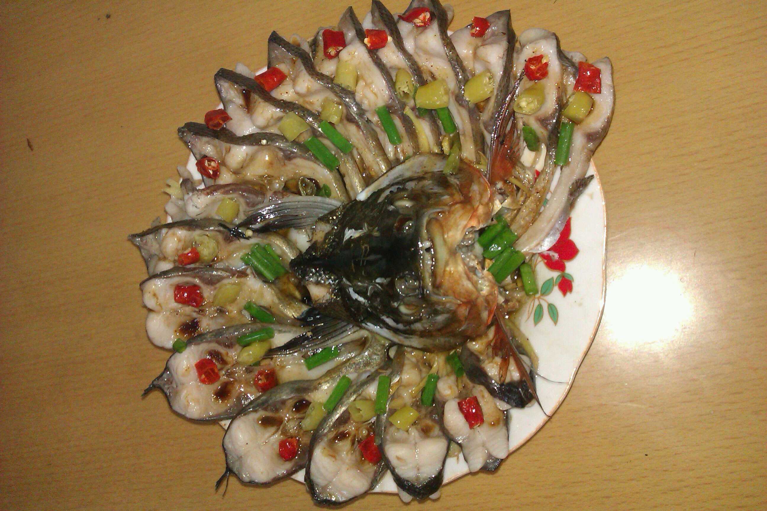 孔雀开屏鱼