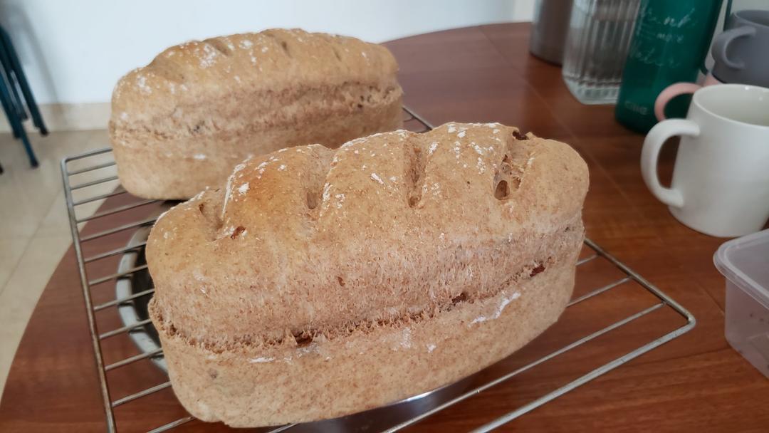 100%无糖无油｜手揉全麦软欧包｜减脂必备