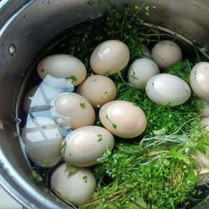 地菜煮鸡蛋的做法 步骤2