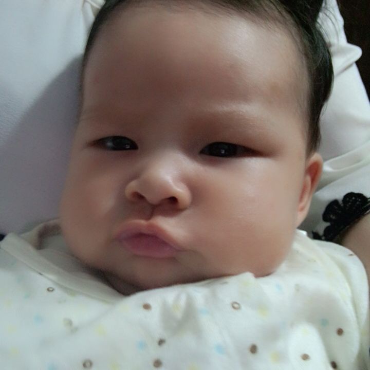 小菜26