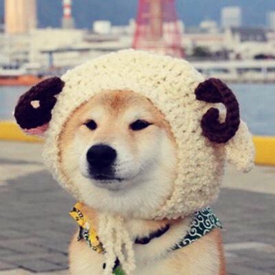 _你可以给我下面吃嘛
