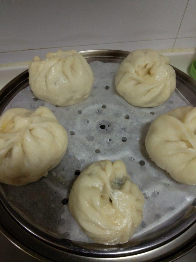 如何发面（做肉包、馒头）