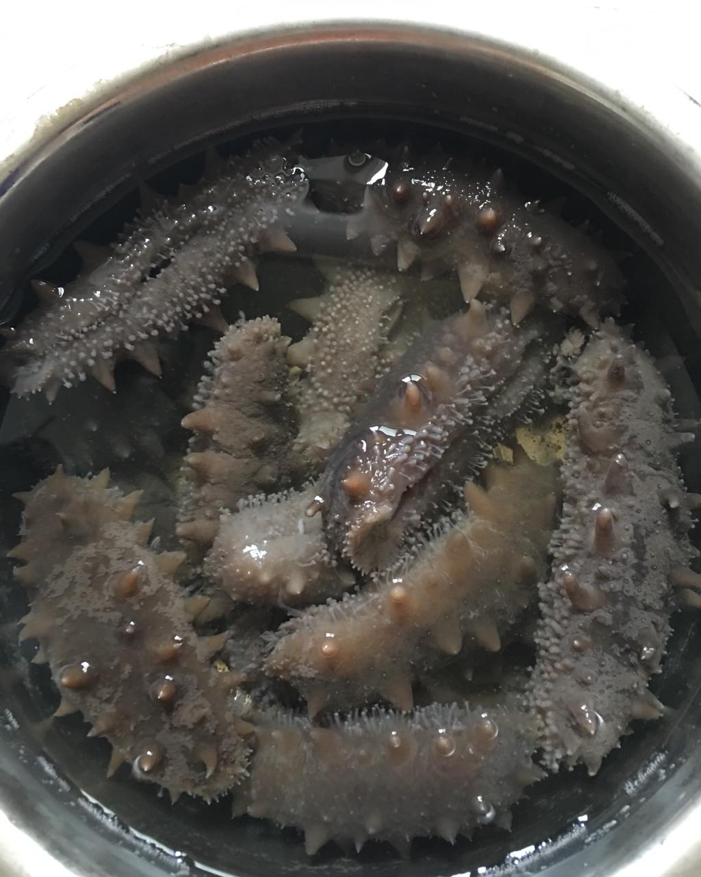 果然之然做的海参泡发攻略