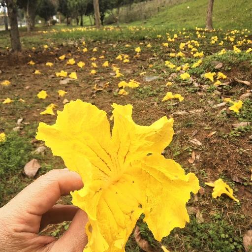 爱做菜的左左