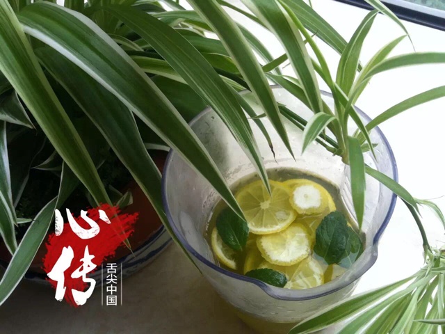 柠檬薄荷蜂蜜水