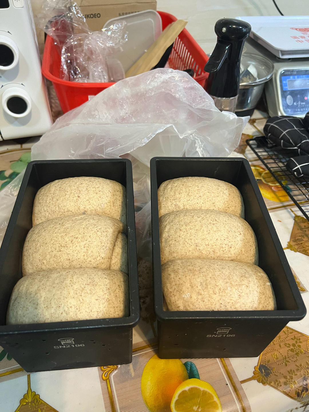 黑全麦波兰种吐司，这么柔软简直怀疑你是个假全麦！