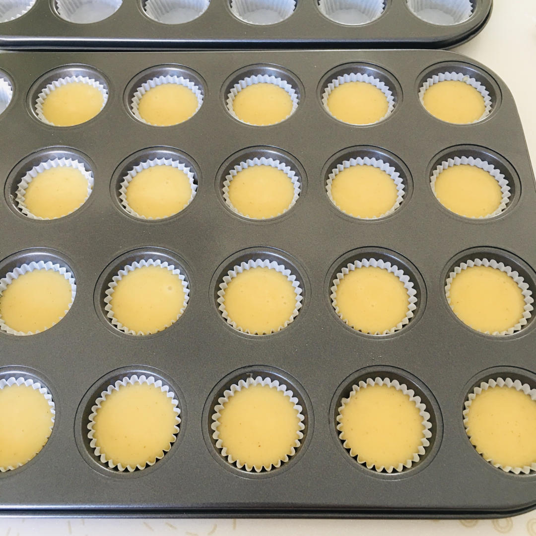 不打蛋白版|一⭕️小蛋糕