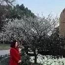 手机用户5796_vlwi