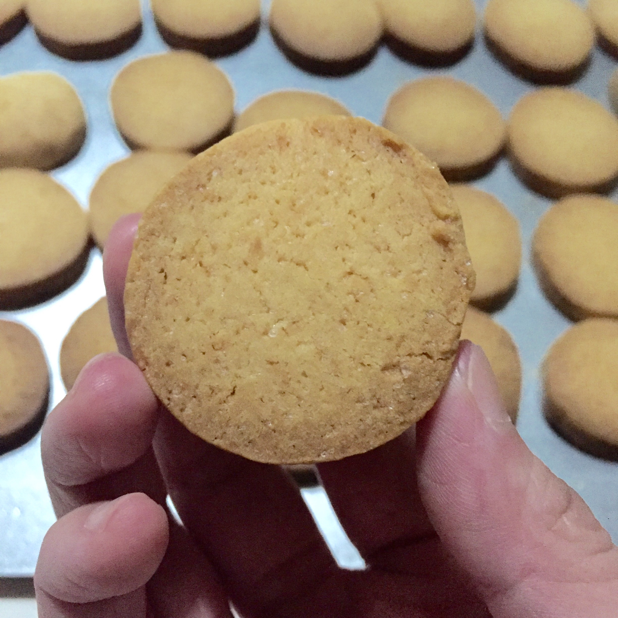 【炼乳脆饼•硬】非常简单的硬饼干