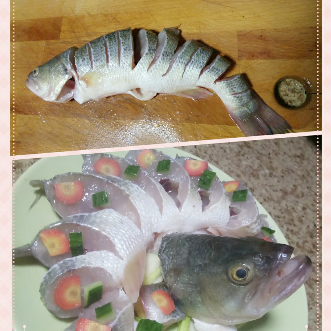 孔雀海鲈鱼