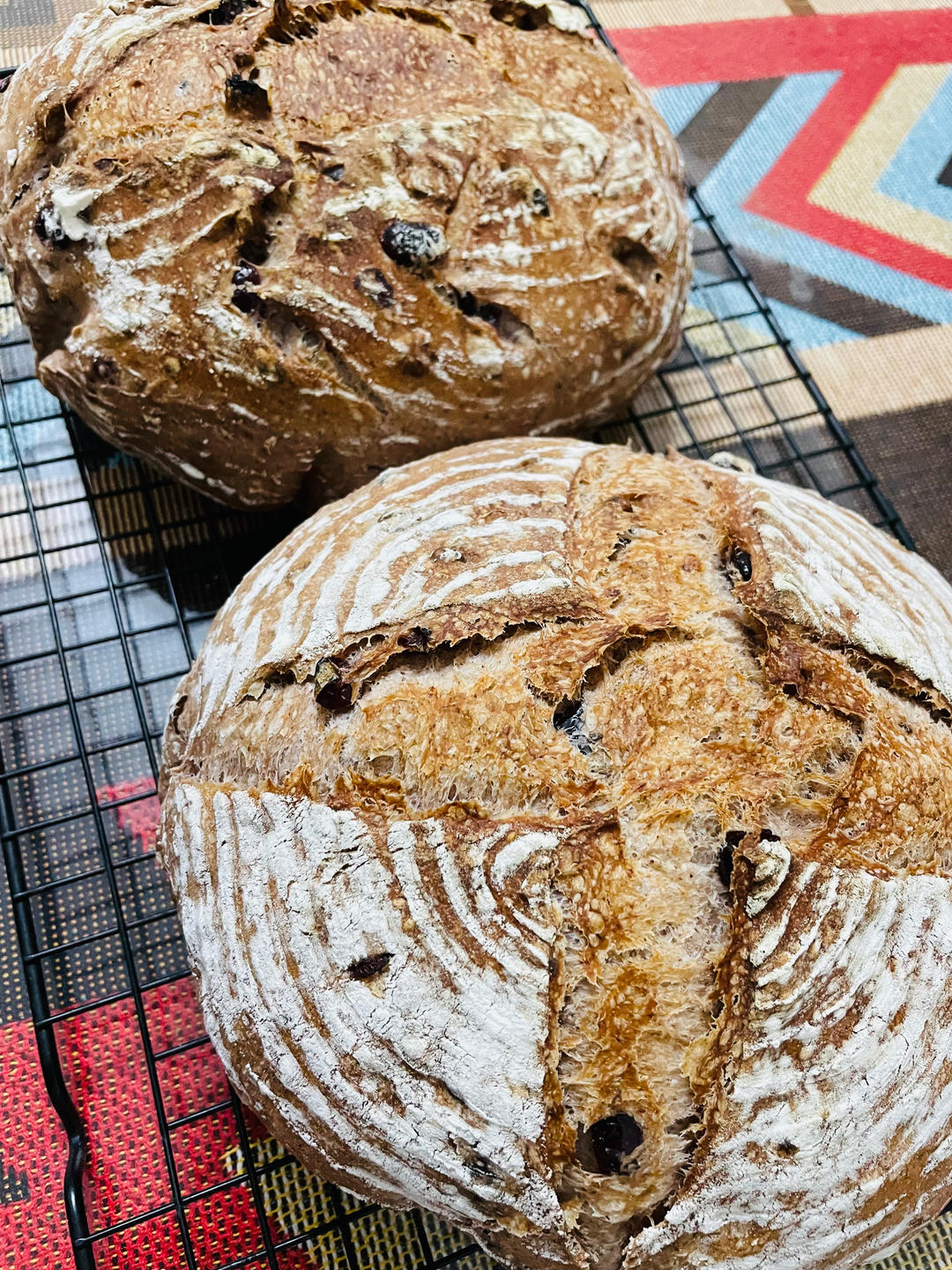 红酒蔓越莓小法棍-香气迷人一口上头