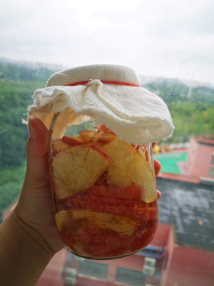 自制发酵天然苹果醋🍎