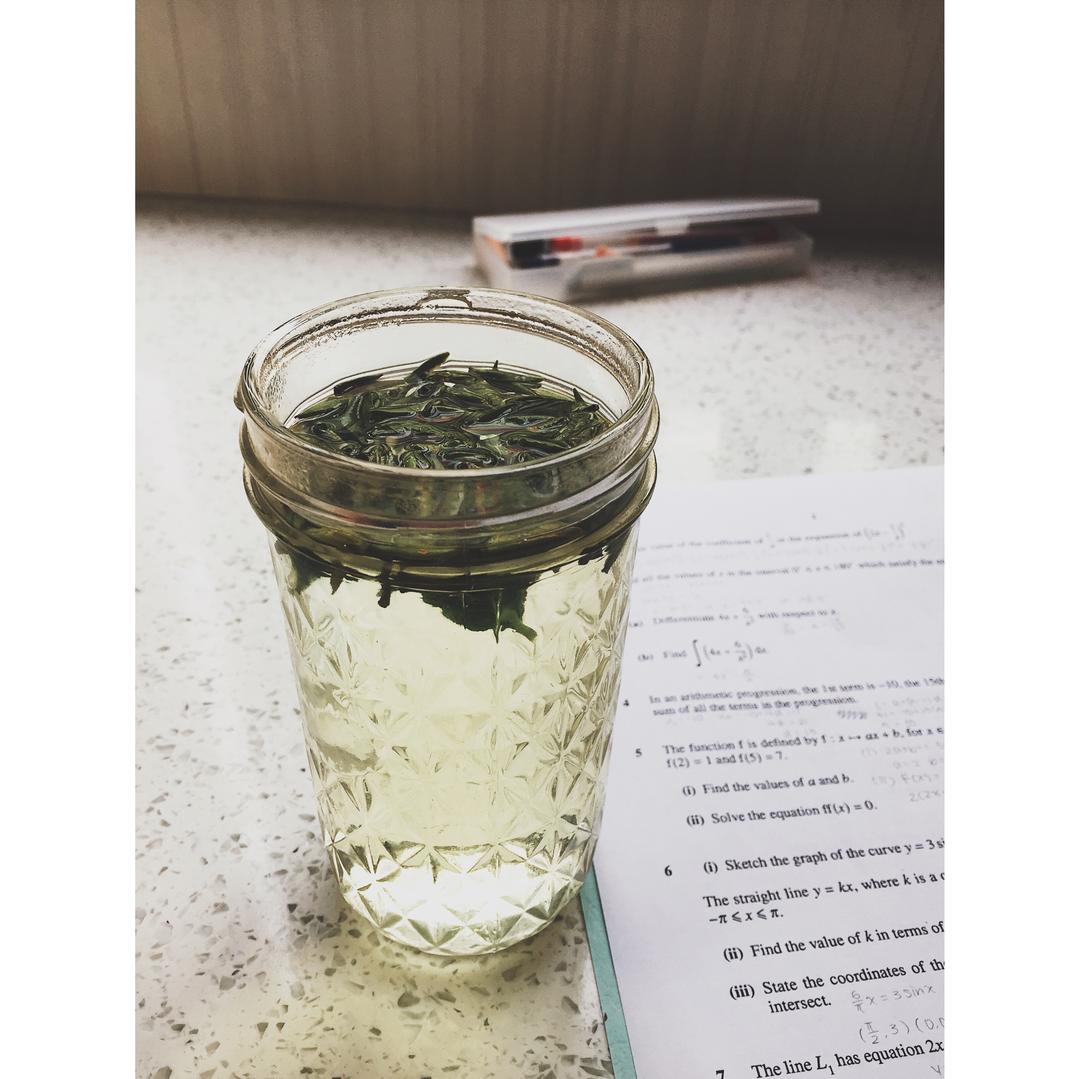 摩洛哥薄荷茶 Thé à la Menthe
