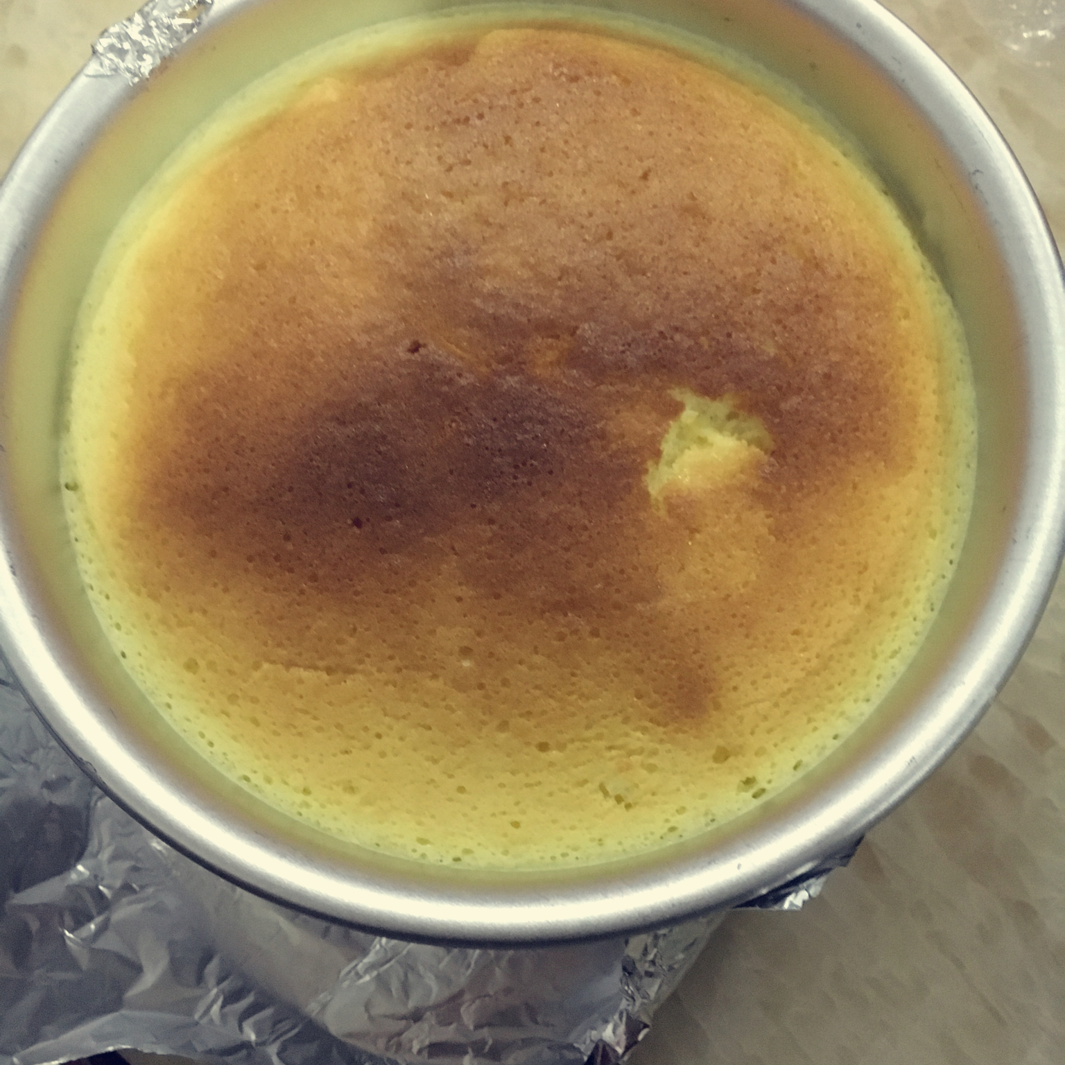 轻乳酪蛋糕（结合多位大师的方子）