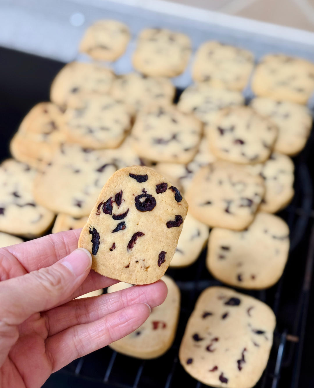 圣诞季，圣诞树饼干做起来