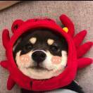 手机用户7849_ngd3