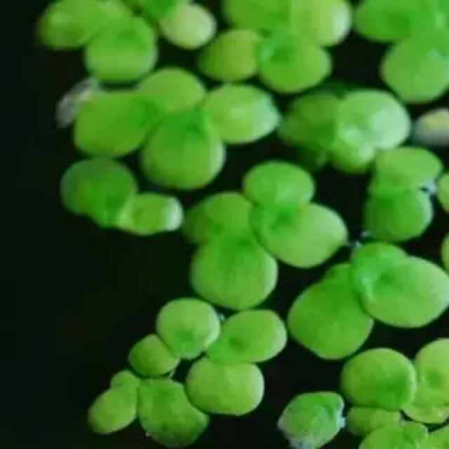我们都要美美的