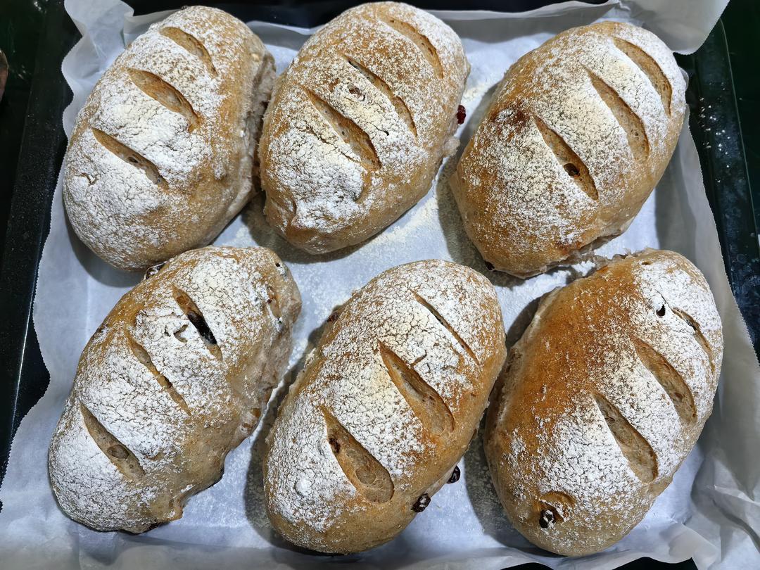 山姆同款无糖全麦坚果果干欧包，天天吃都不腻！