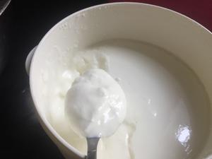 自制老酸奶(步骤全)的做法 步骤6