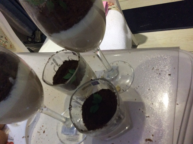 盆栽奶茶