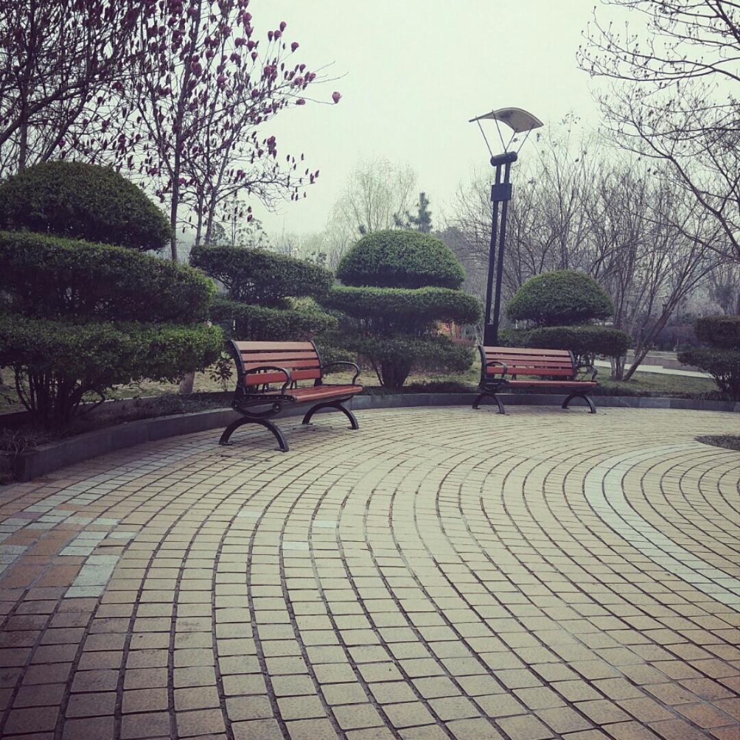 爱吃肉的好姑娘