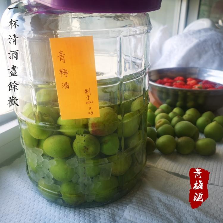 青梅酒的做法