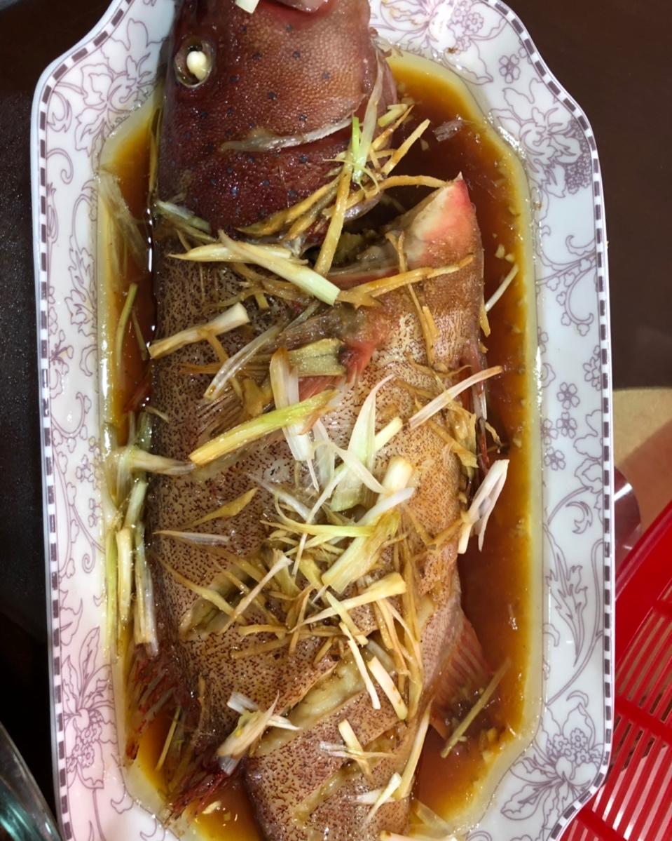 小爱贝贝做的金猫咪食堂-清蒸东星斑