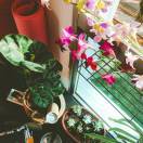 Cecilia歆玲XinLing