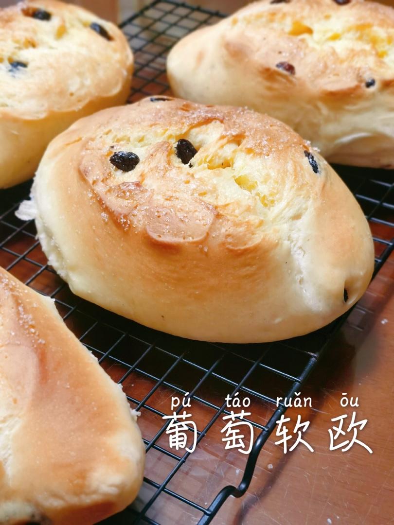 葡萄软欧（仿原麦山丘）Milk flavored bread filled with raisins and butter