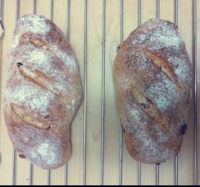 全麦葡萄干面包