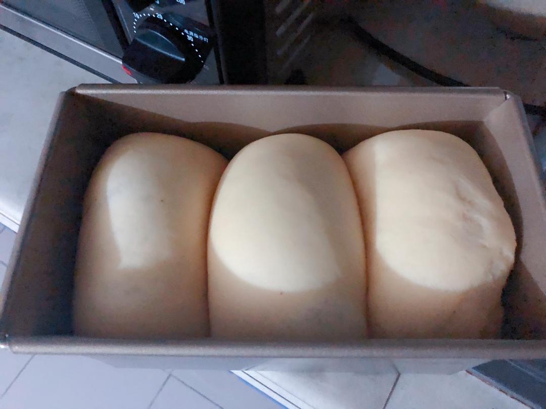 玉米油版一次性发酵吐司